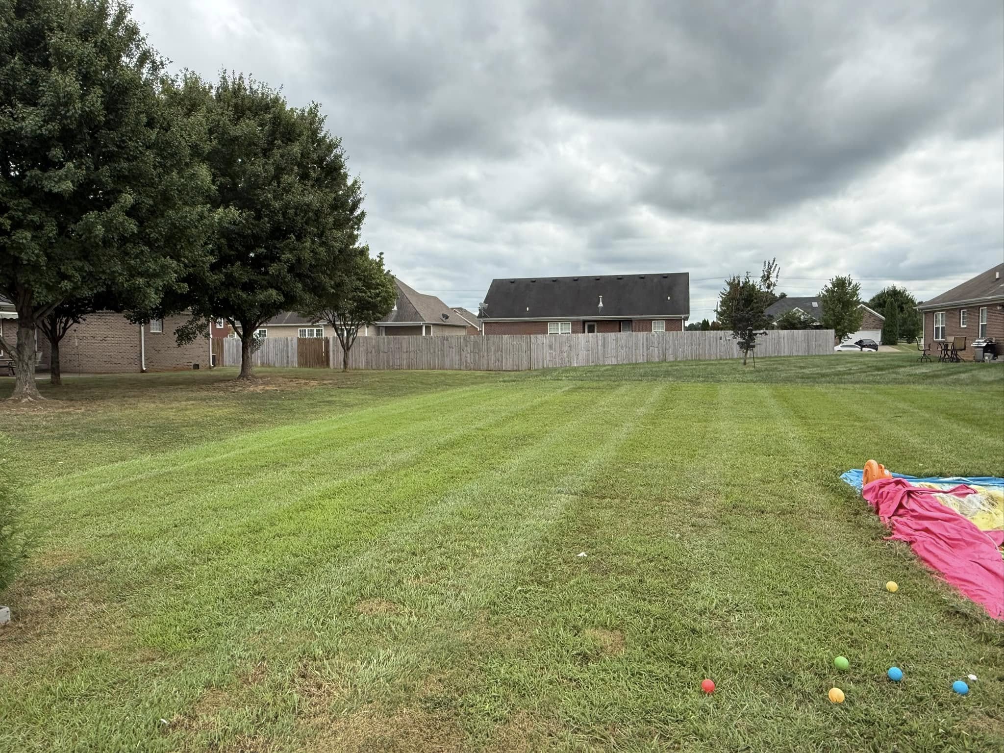 Professional Lawn Maintenance